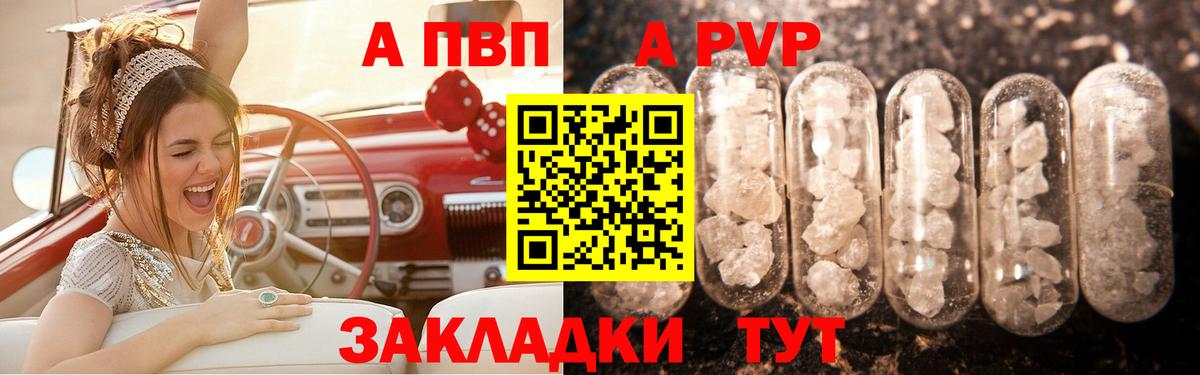Альфа ПВП СК КРИС Бердск